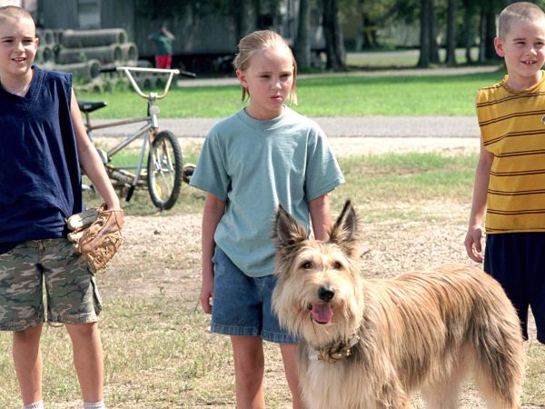 Because Of Winn Dixie 2005 Full Movie Because of Winn-Dixie (2005) - Wayne Wang | Cast and Crew | AllMovie